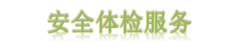 安全体检服务.png 安全体检服务.png