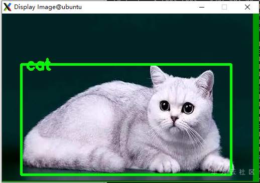 image-20210730111058492.png