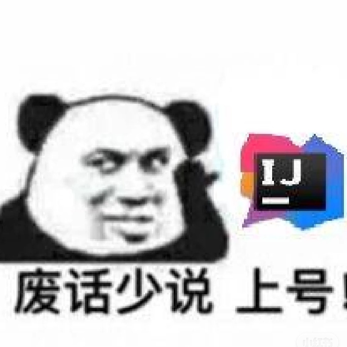 作者小头像